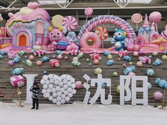-沈阳奥体冰雪嘉年华