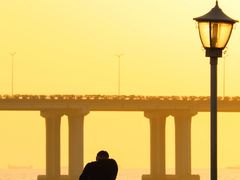 -宝安西湾红树林湿地公园