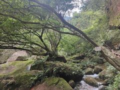 -赤水丹霞旅游区·佛光岩