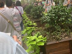 -上海市徐汇区口腔医院