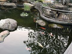 -花果山庄•现烤荔枝柴烧鹅