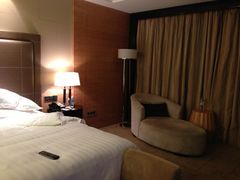 fann-上海浦东滨江喜来登酒店