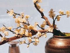 -梅花境(万科店)