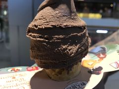 -野人先生现做冰淇淋(北京环宇荟店)
