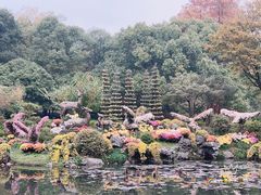 -杭州植物园