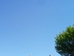 -中山美食街