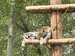 -北京野生动物园