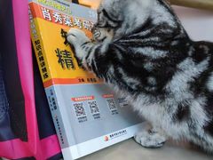 -猫咪派对(江南西店)