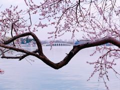 -颐和园