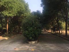 -安飞驰驾校·学车连锁(金高店)