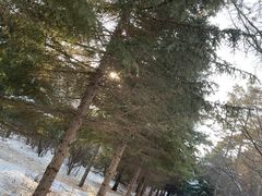 -长春市南湖公园