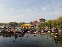 -中国翰园碑林