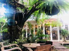 景观位-Fern Forest Cafe
