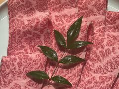 -然锅料理