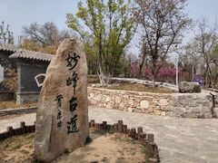 -阳台山自然风景区