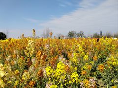 -中国天府农业博览园