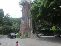 -青青世界