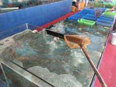 -七鲜渔港美食餐厅(巽寮湾海景店)
