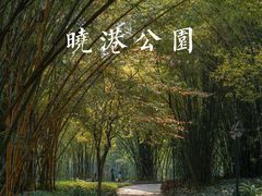 -晓港公园