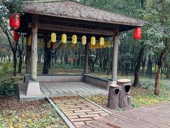 -同里国家湿地公园