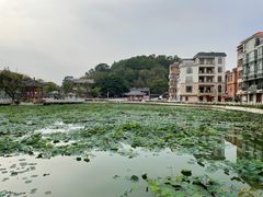 -长洲岛