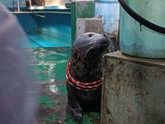 -嘉兴海底世界