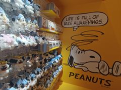 -九木杂物社(中心店)