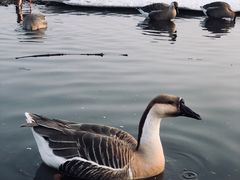 -沈阳市东陵公园