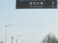 -蒲河大集