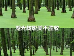 -渌洋湖湿地公园