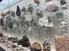 -浙江自然博物院(杭州馆)