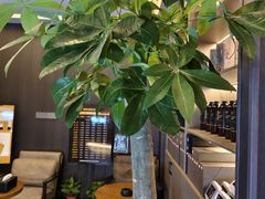 -鹿栖.精油SPA(金山世纪城店)