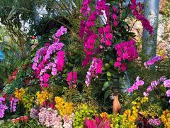 -北京植物园-展览温室