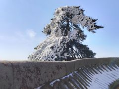 -武当山风景区