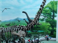 -辽宁古生物博物馆