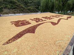 -新安江山水画廊风景区