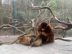 -宁波野生动物园