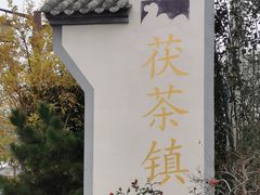 -茯茶镇