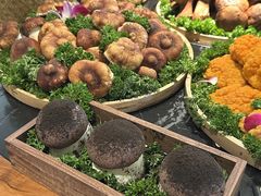 -友谊阳光城