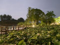 -渤公岛生态公园