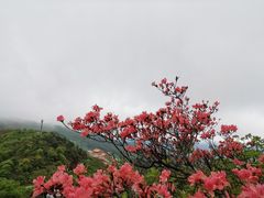 -永州阳明山国家森林公园
