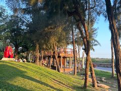 -宝安西湾红树林湿地公园