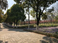 -白塘生态植物园