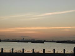-芒洲湿地公园