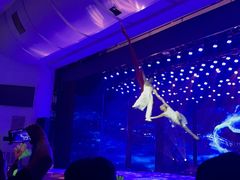 -南风大剧院莎梦二人转剧场