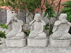 -巢湖姥山岛