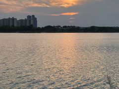 -鹤之洲湿地公园