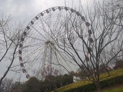 -自然谷恐龙园