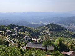 -紫鹊界梯田景区