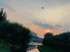 -将府公园